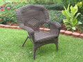 Resin Wicker Patio Chairs Set of 2 G4461