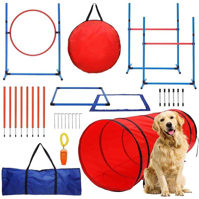 15 Piece Dog Agility Course Backyard Set Z217