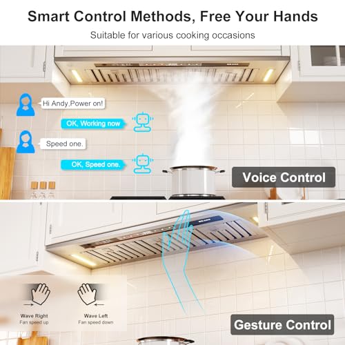900 CFM Voice Control Kitchen Range Hood B275