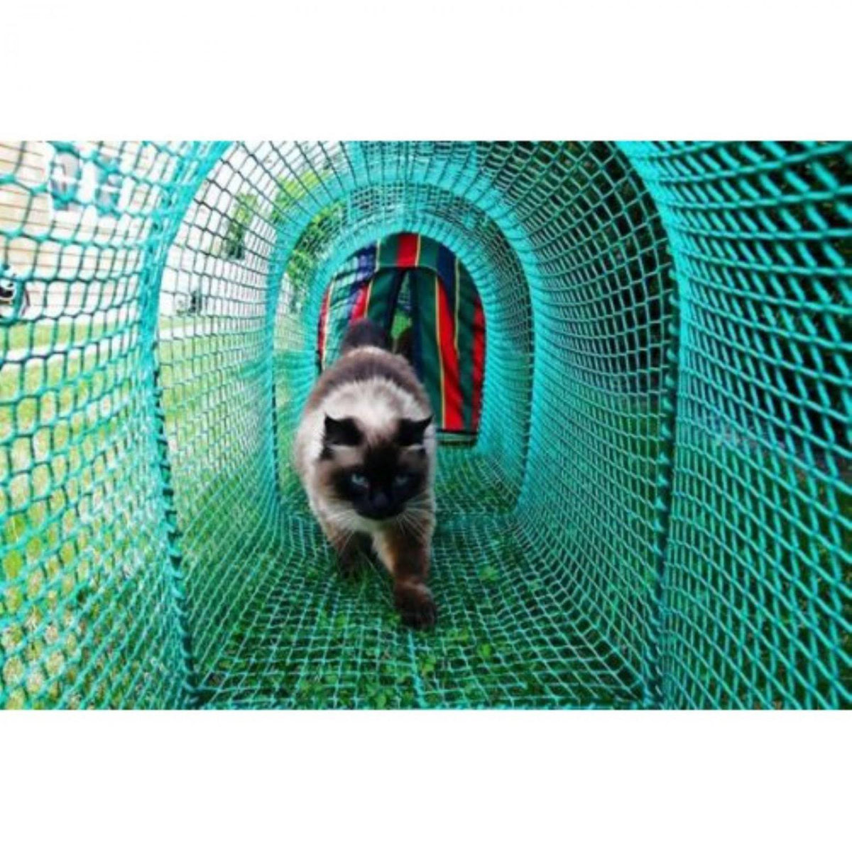 Green Outdoor Cat Enclosure T72314