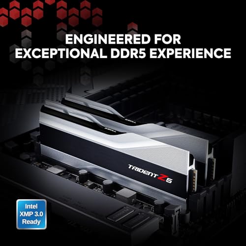 DDR5 RAM 32GB (2x16GB) 6000MT/s CL36-36-36-96 Desktop Computer Memory Metallic Silver E87770