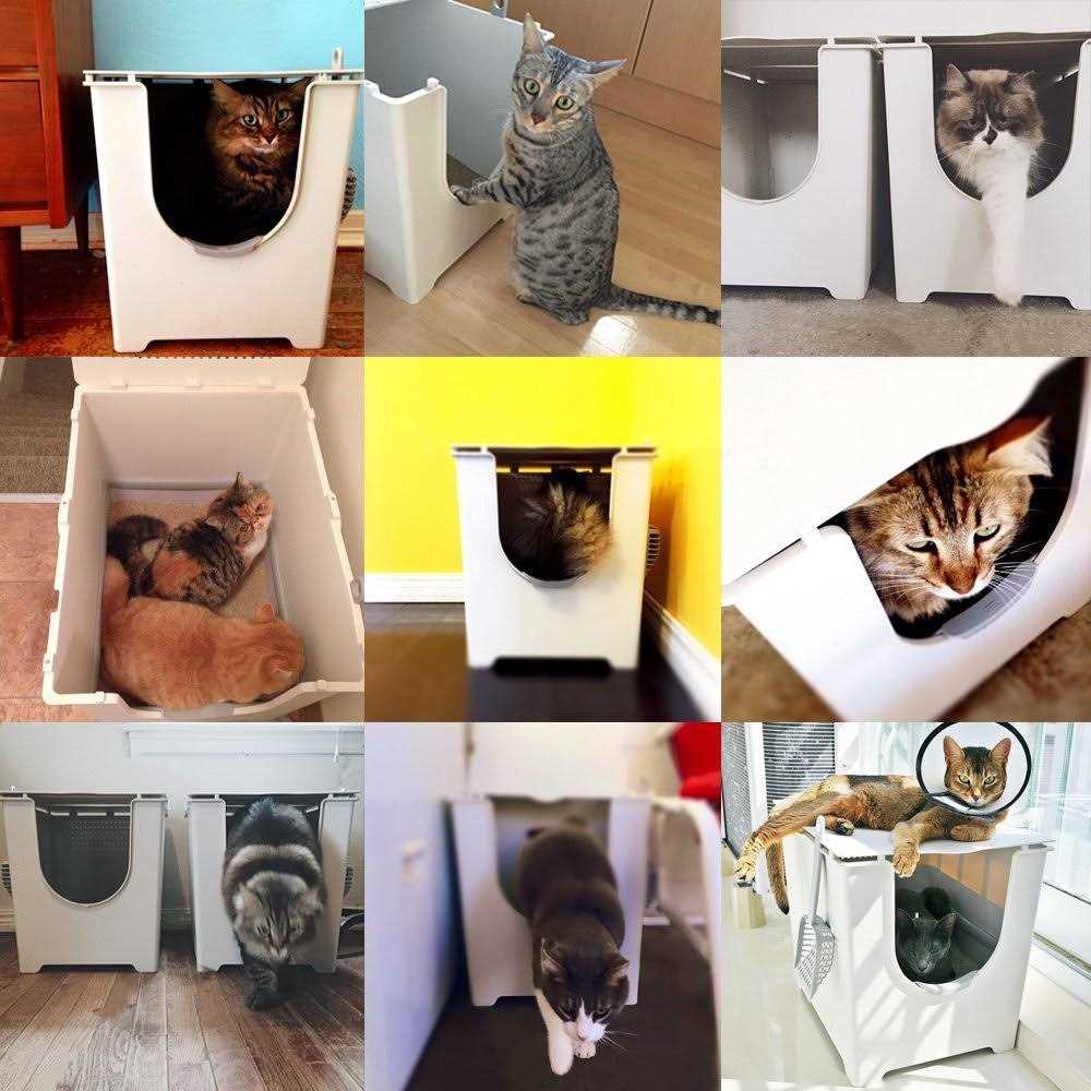 Flip Litter Box with Scoop and Reusable Liner B7662