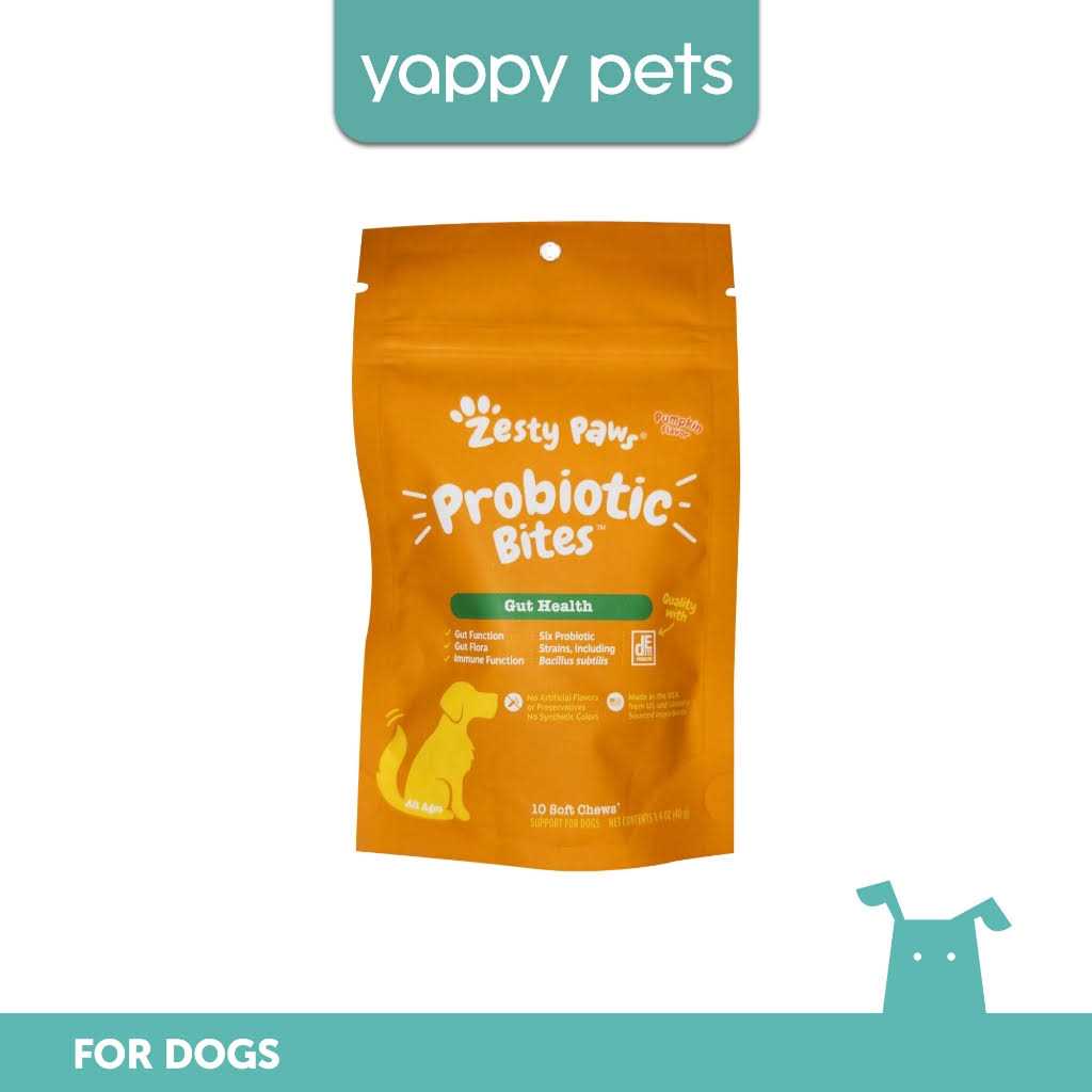 Probiotic Bites Pumpkin Flavored Soft Chews for Dogs Q15510