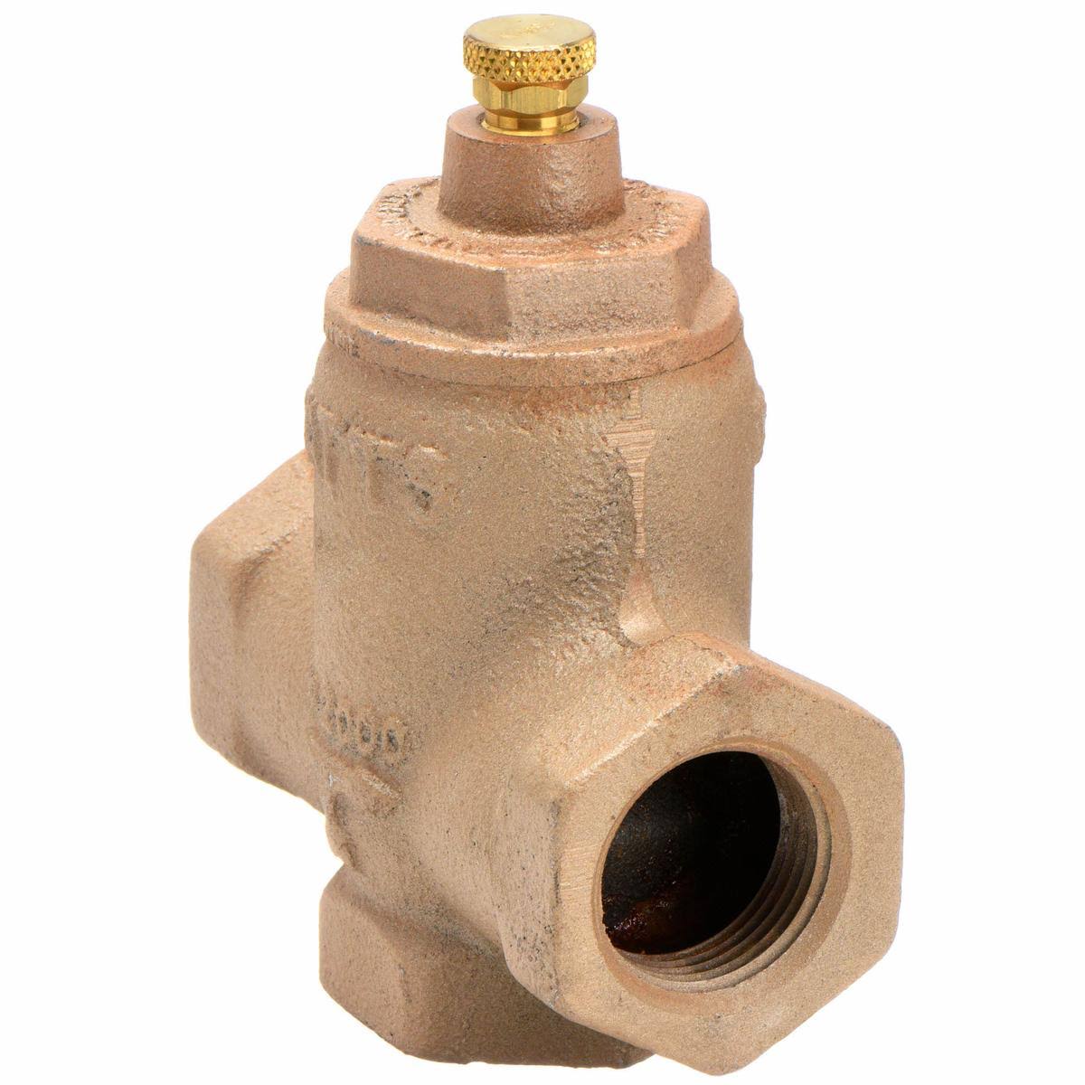 1 1/4 In FNPT Cast Iron Flow Check Valve G118