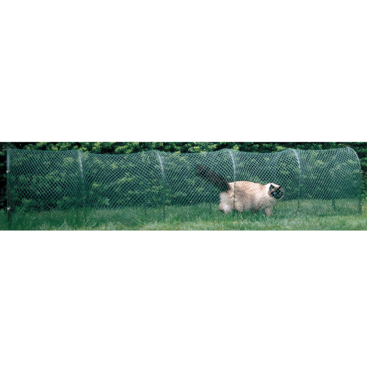 Green Outdoor Cat Enclosure T72314