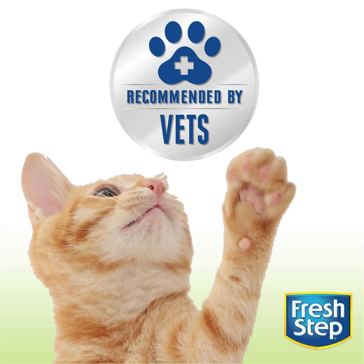 Unscented Clumping Cat Litter I8453