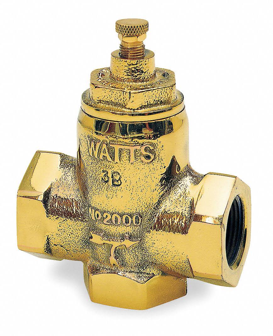 1 1/4 In FNPT Cast Iron Flow Check Valve G118