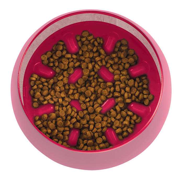 Burgundy Slow Feeder Dog Bowl Q43195
