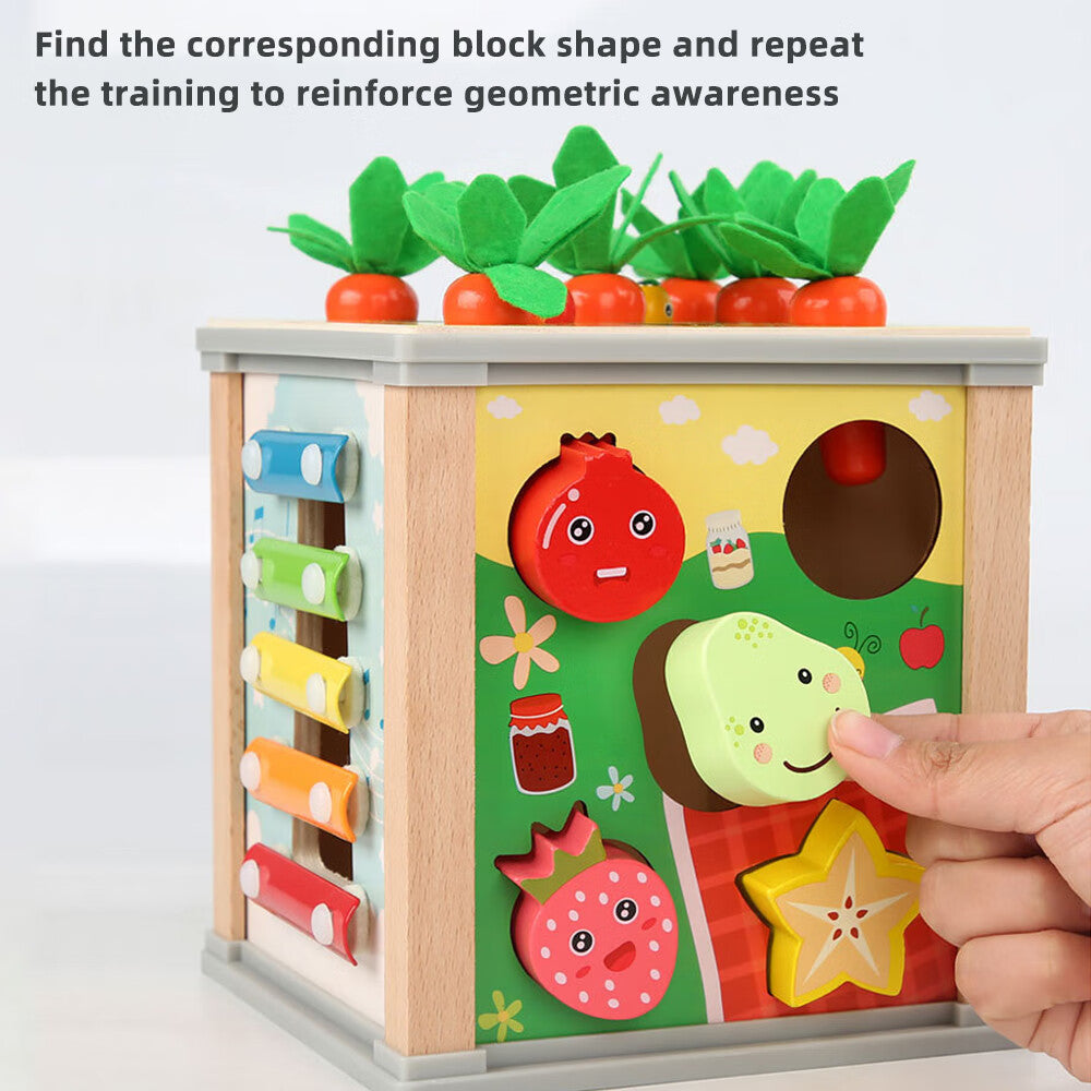 6-in-1 Wooden Blocks Shape Sorter Montessori Toys E95811