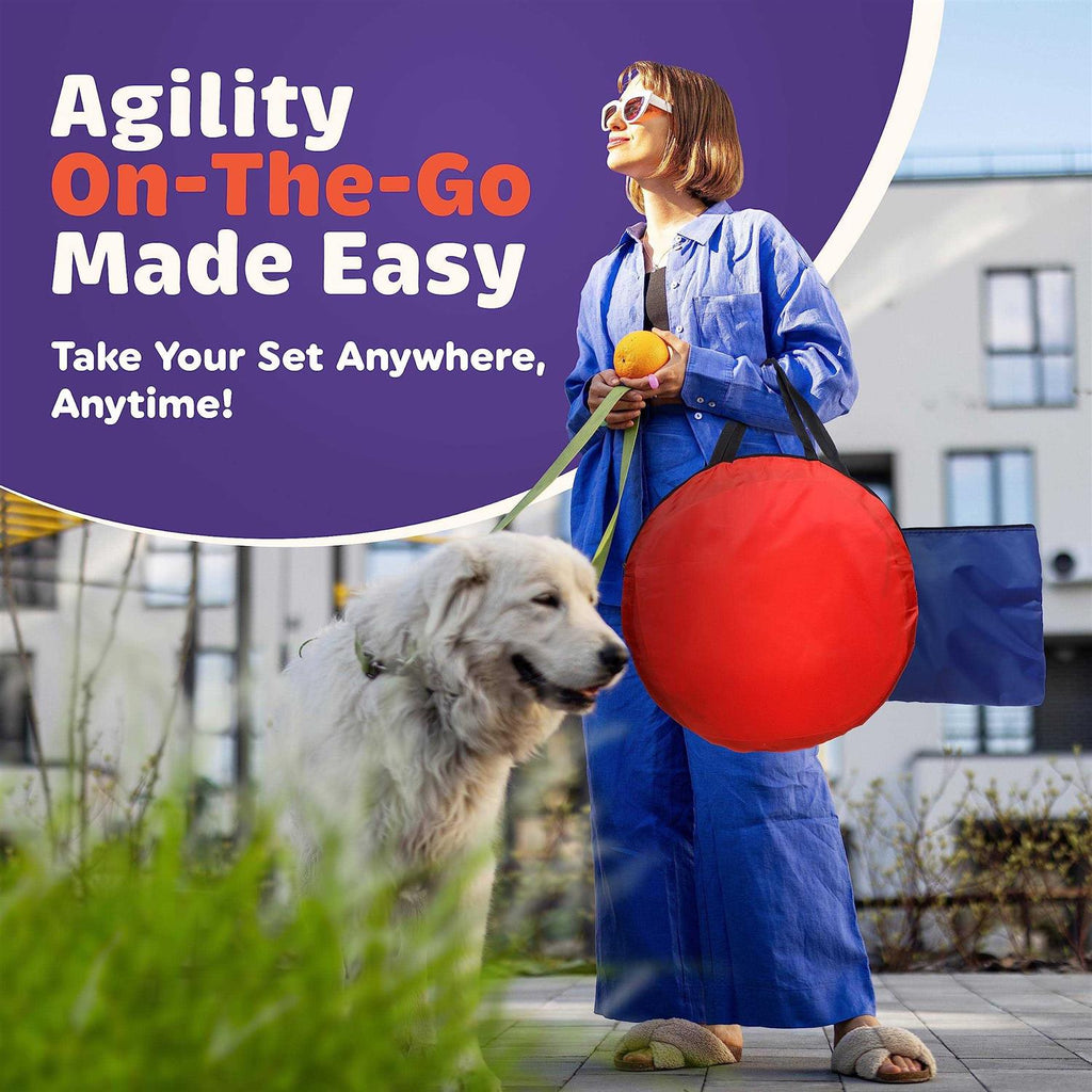 15 Piece Dog Agility Course Backyard Set Z217