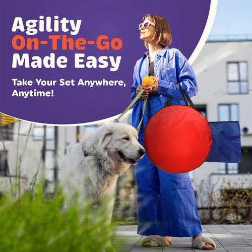 15 Piece Dog Agility Course Backyard Set Z217