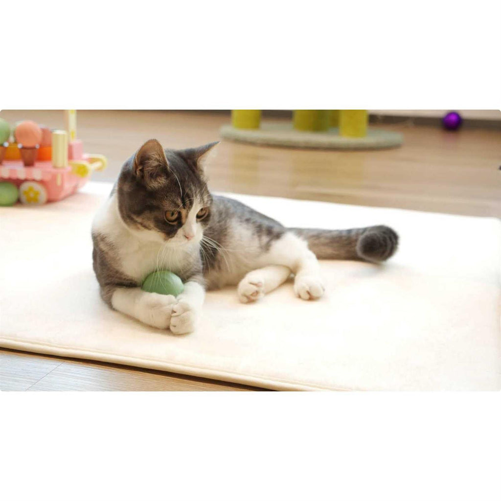 Interactive Cat Toy Ball E1404