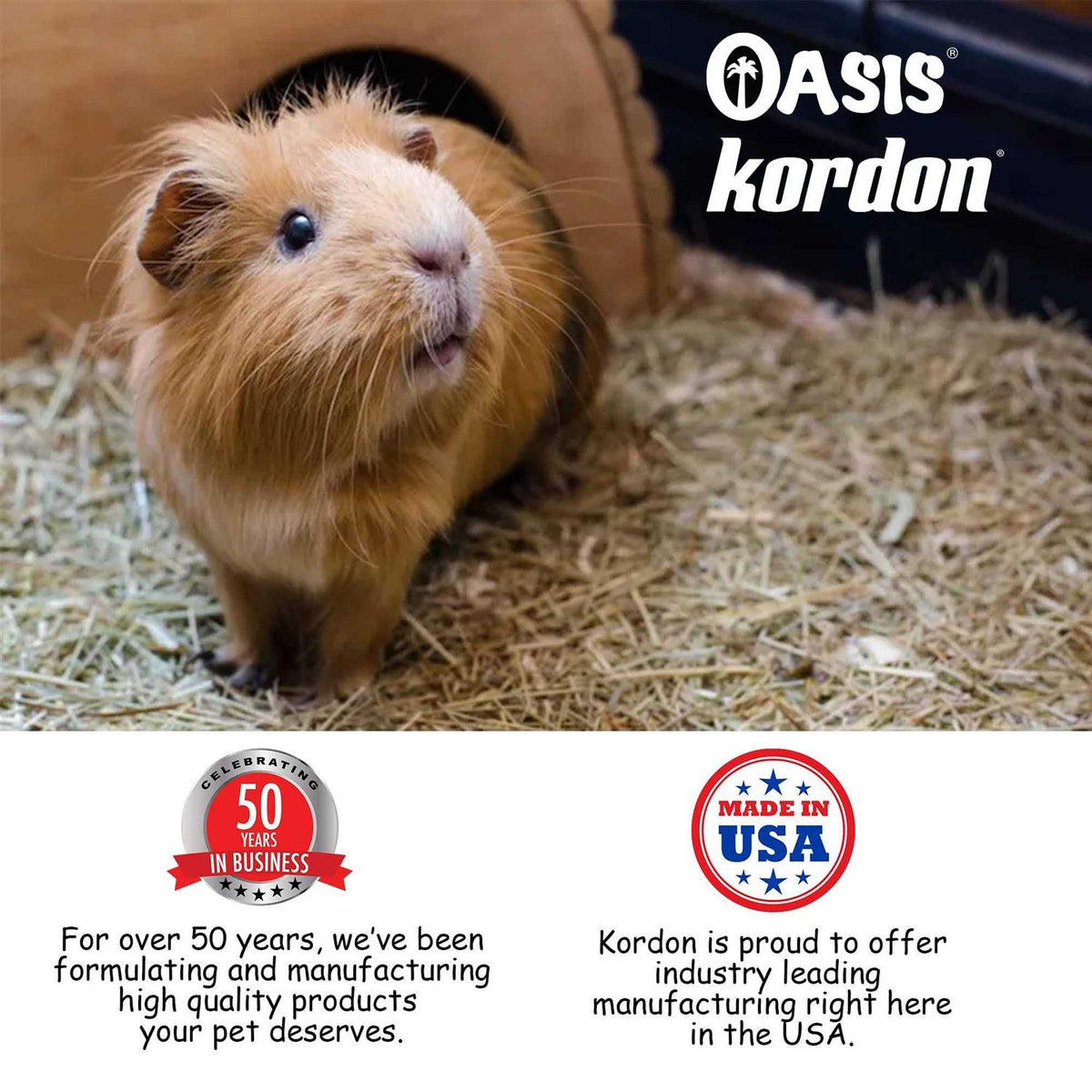 Pure C Guinea Pigs Pet Supplies A312
