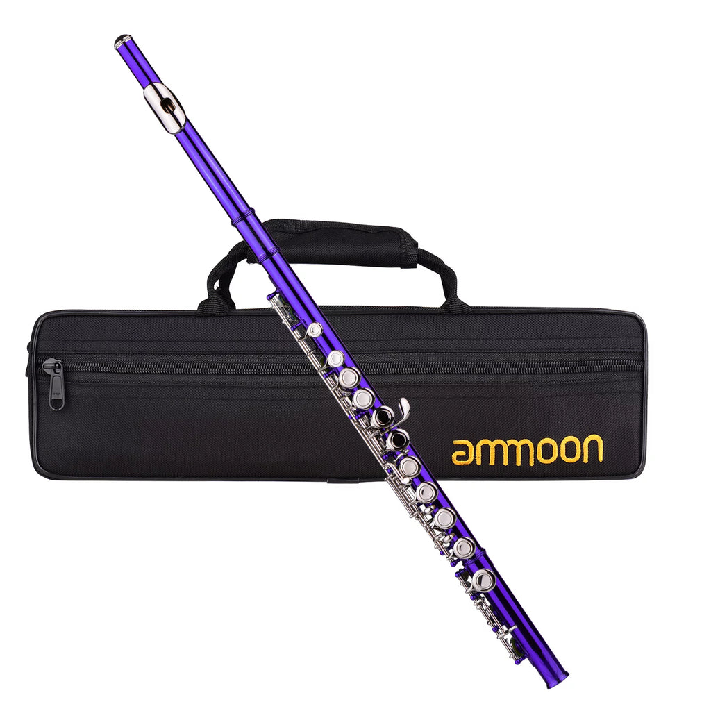 16 Keys Cupronickel Nickel-plated Closed Hole C Flute with Carry Case Q83034