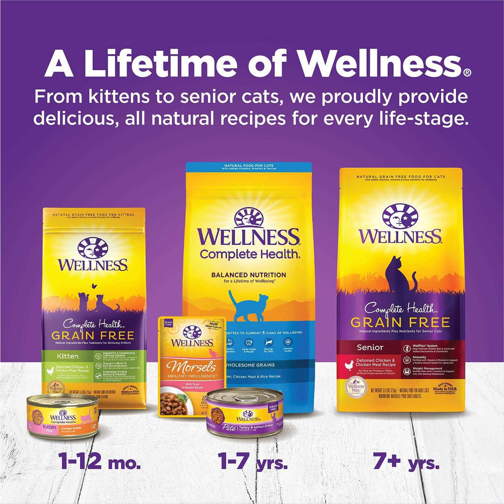 Kitten Canned Wet Cat Food J296328