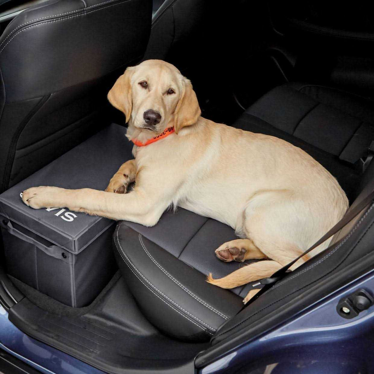 Backseat Extender with Storage X679337