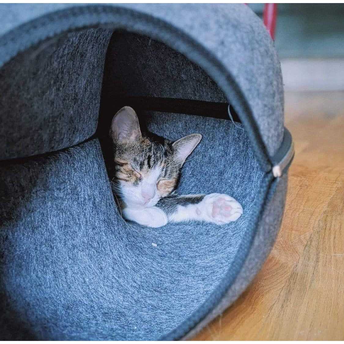 Cat Hideaway Cave Y56492