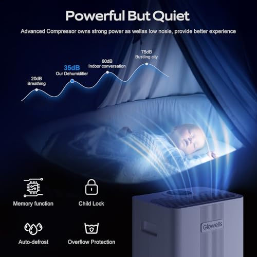 21 Pints Dehumidifier with Drain Hose T143