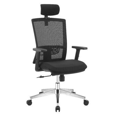 Black Ergonomic Mesh Back Task Chair H479