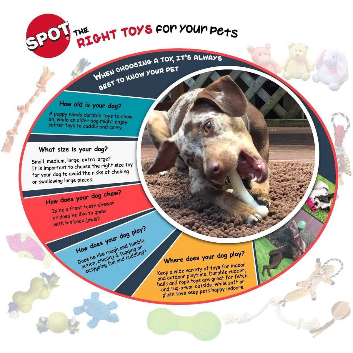 Sensory Ball Dog Toy O54601