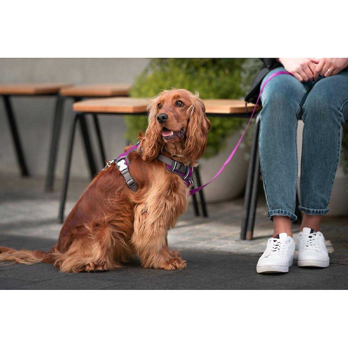 Padded Dog Harness S40322