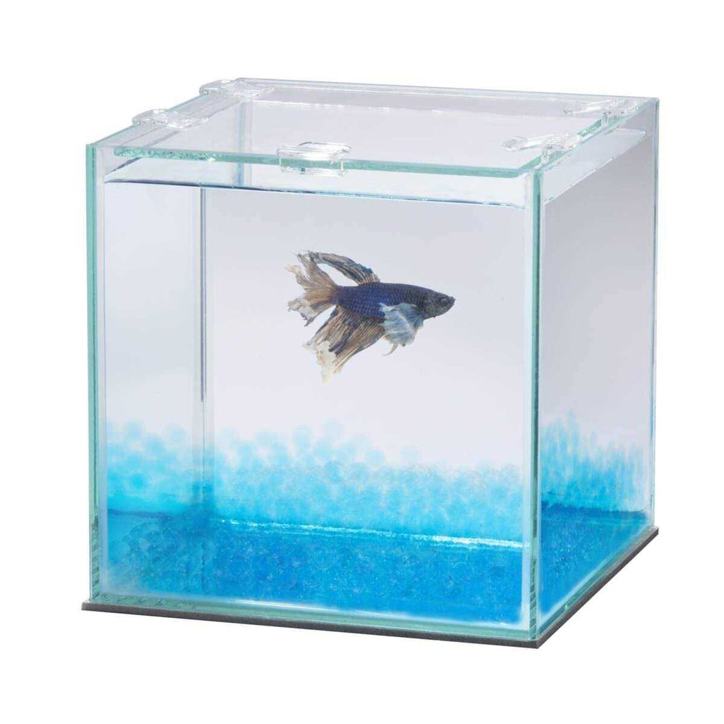 Betta Beads I1658