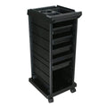 Salon Trolley Cart R9979