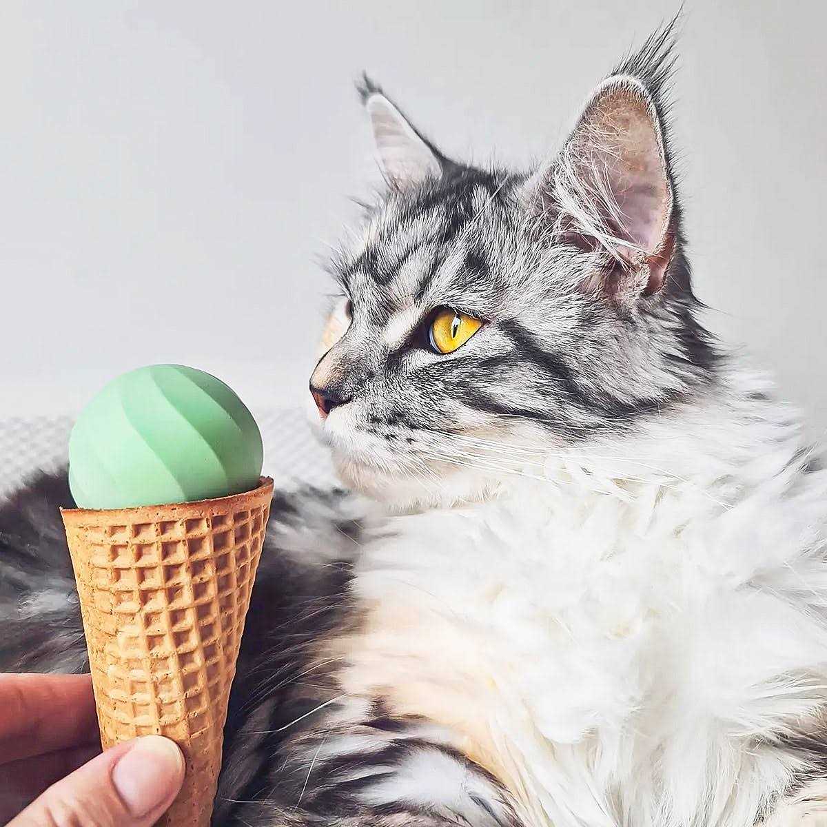 Interactive Cat Toy Ball E1404
