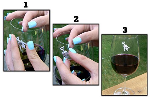 Magnetic Wine Glass Charms Set of 6 K664593
