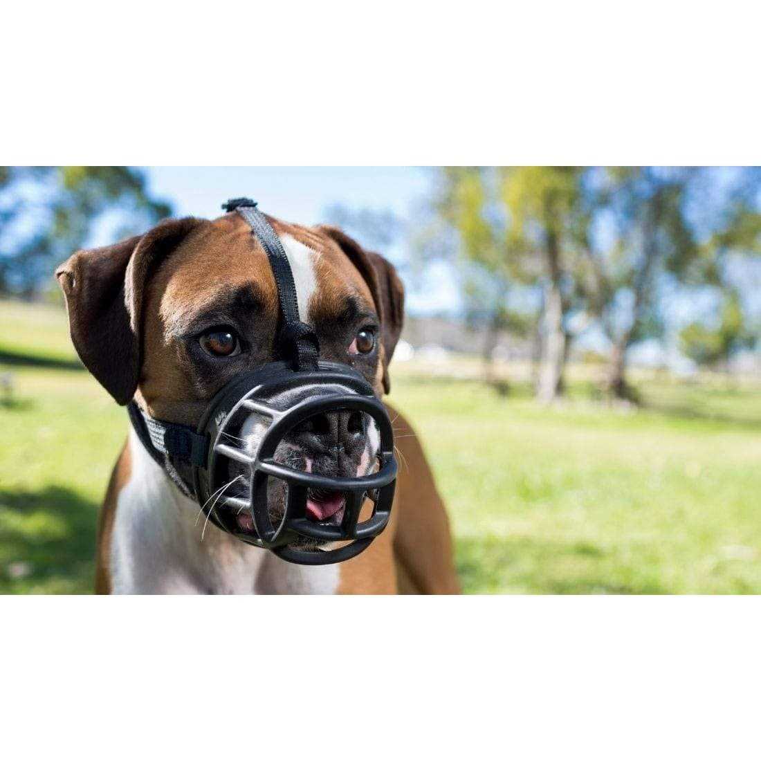 Dog Muzzle H913690