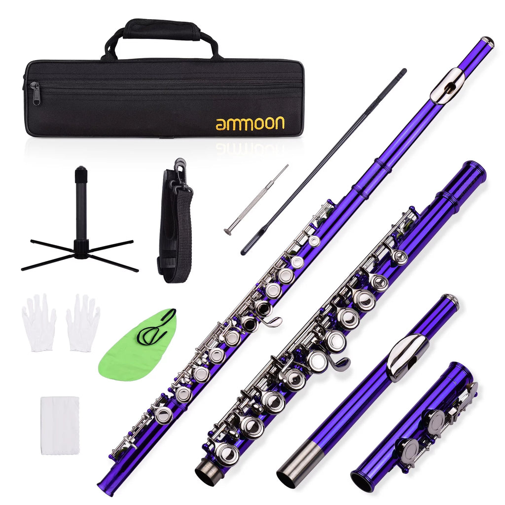 16 Keys Cupronickel Nickel-plated Closed Hole C Flute with Carry Case Q83034
