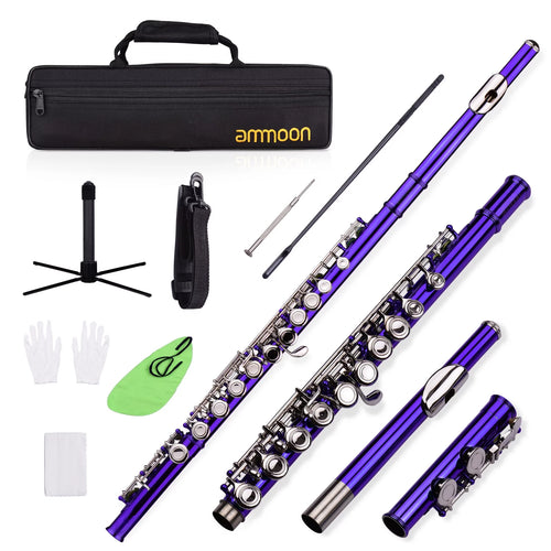 16 Keys Cupronickel Nickel-plated Closed Hole C Flute with Carry Case Q83034