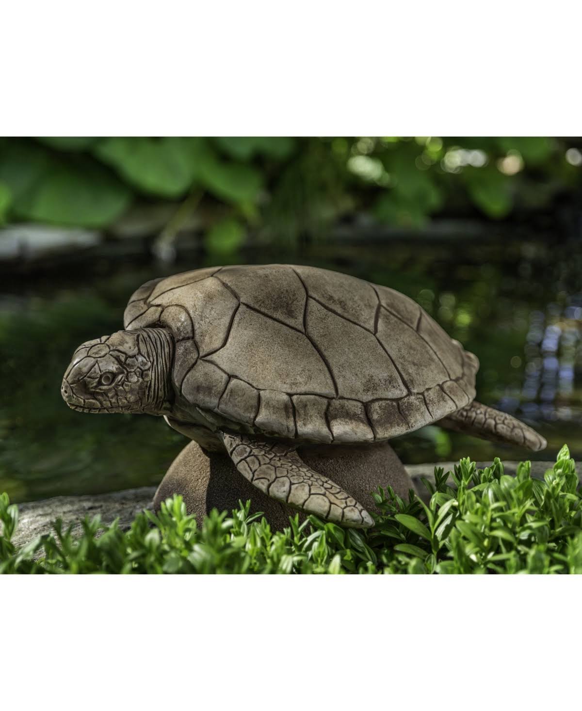 Cast Stone Large Sea Turtle, Verde M988294