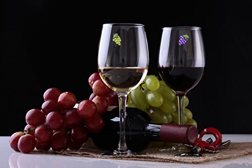 Magnetic Wine Glass Charms Set of 6 K664593