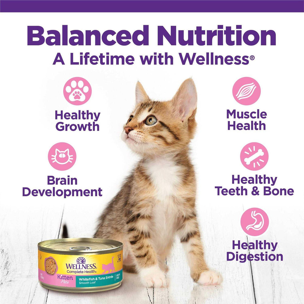 Kitten Canned Wet Cat Food J296328