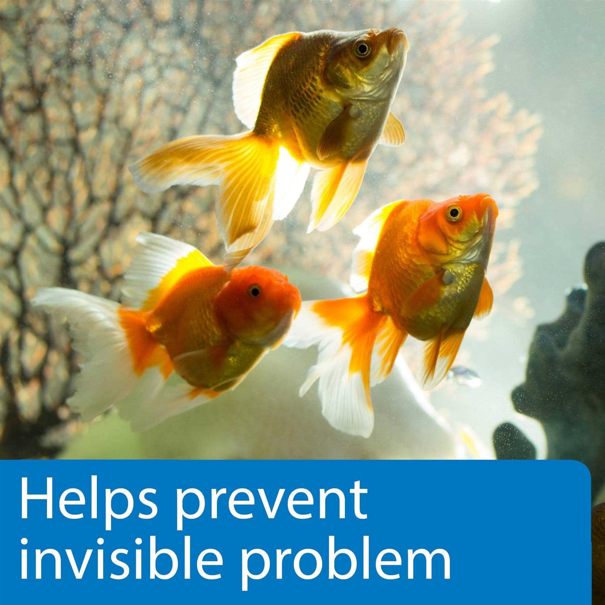 5 in 1 Aquarium Test Strips O540