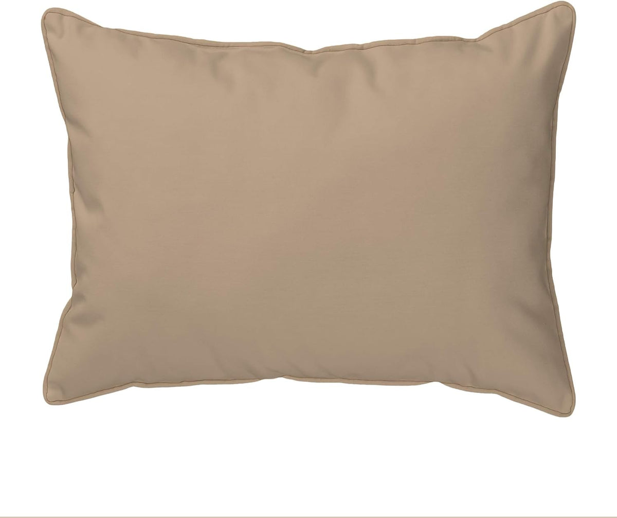 Teal Indoor/Outdoor Pillow H107