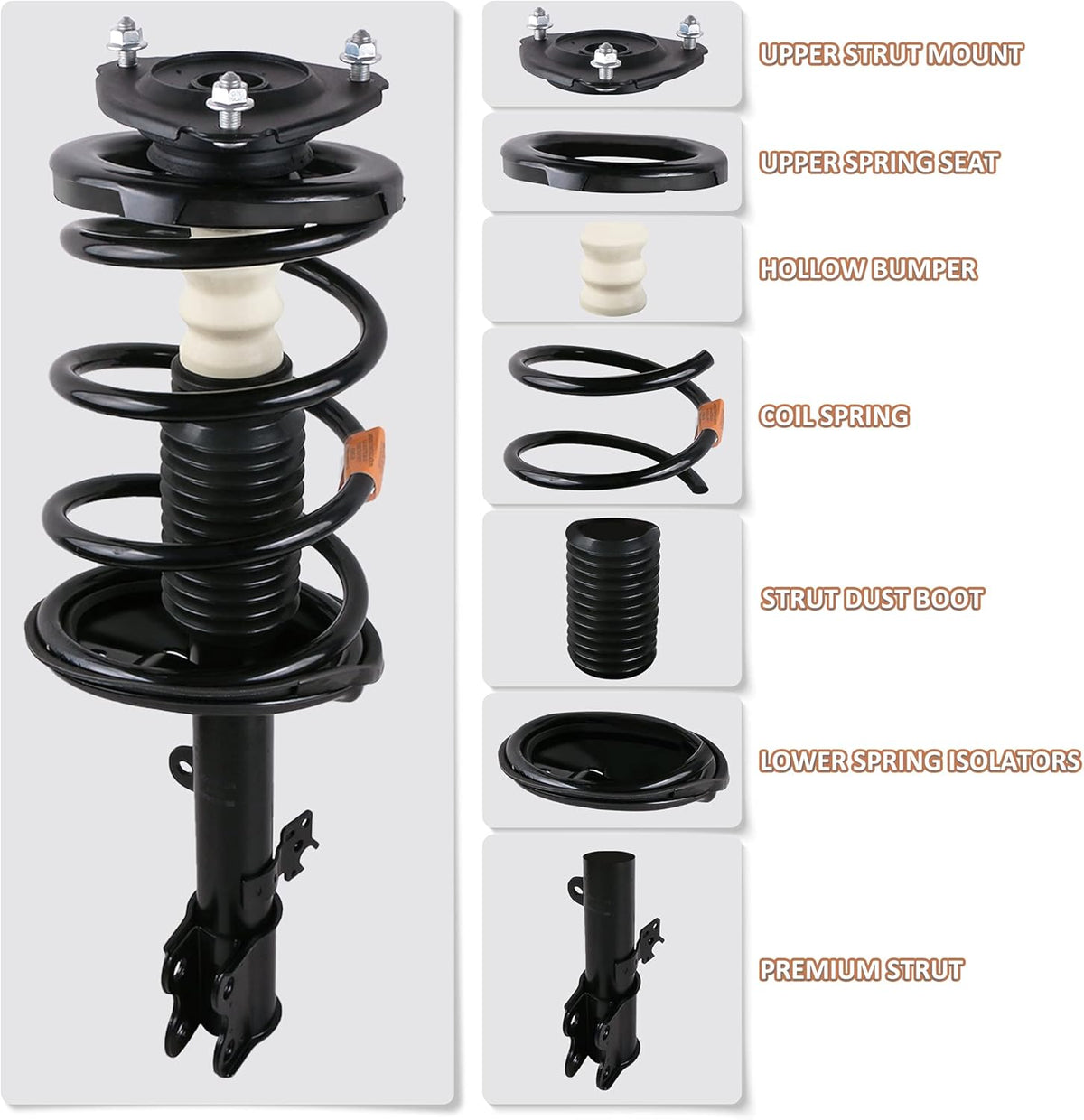 Front and Rear Complete Strut Assemblies Shock Absorbers Set of 4 R52056