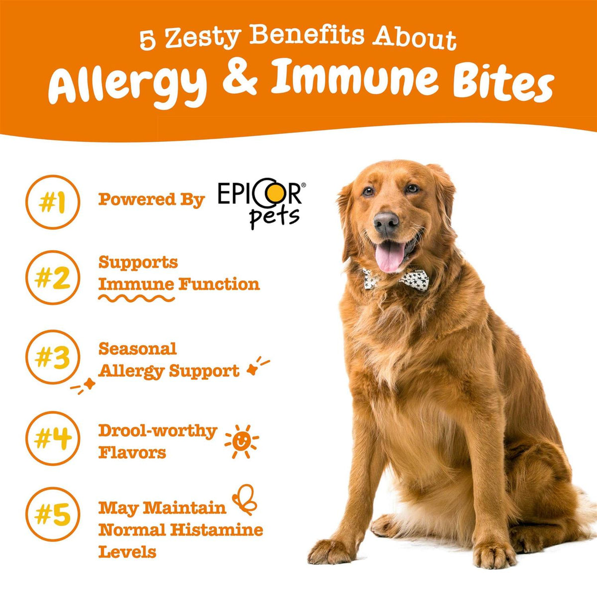 Salmon Allergy & Immune Bites for Dogs T3245