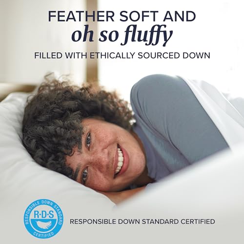 Queen Size Set of 2 Down Bed Pillows B482364