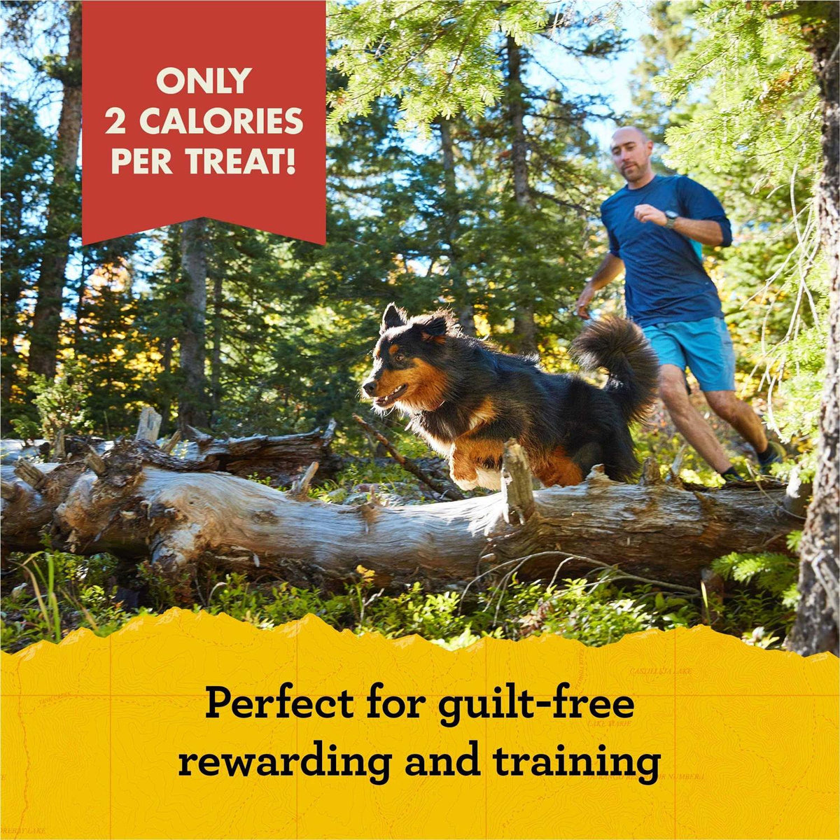 Dog Treats N230788