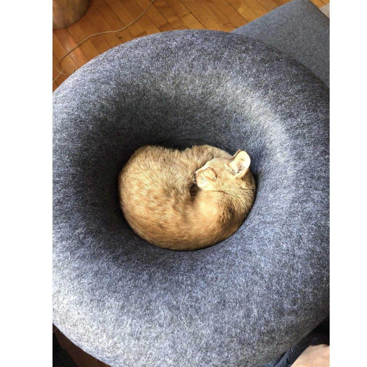 Cat Hideaway Cave Y56492